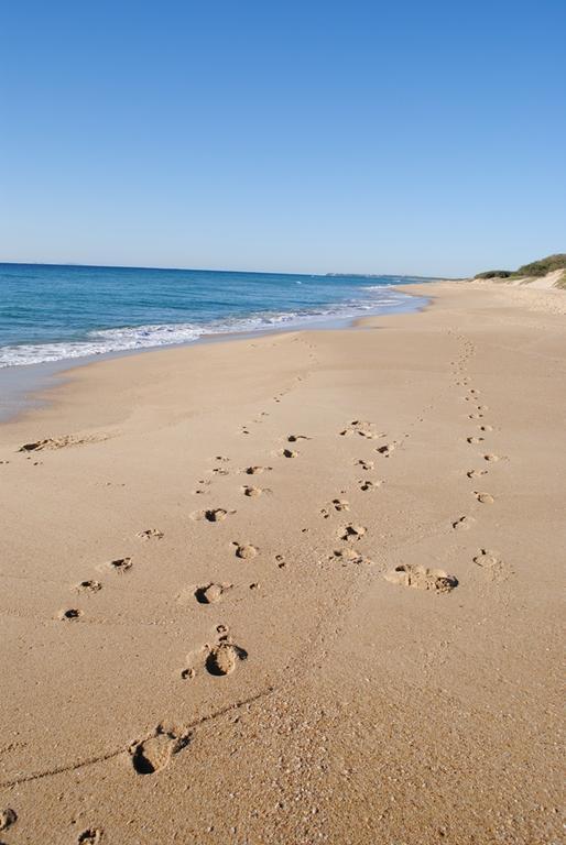 Surfside On The Beach Buddina Εξωτερικό φωτογραφία